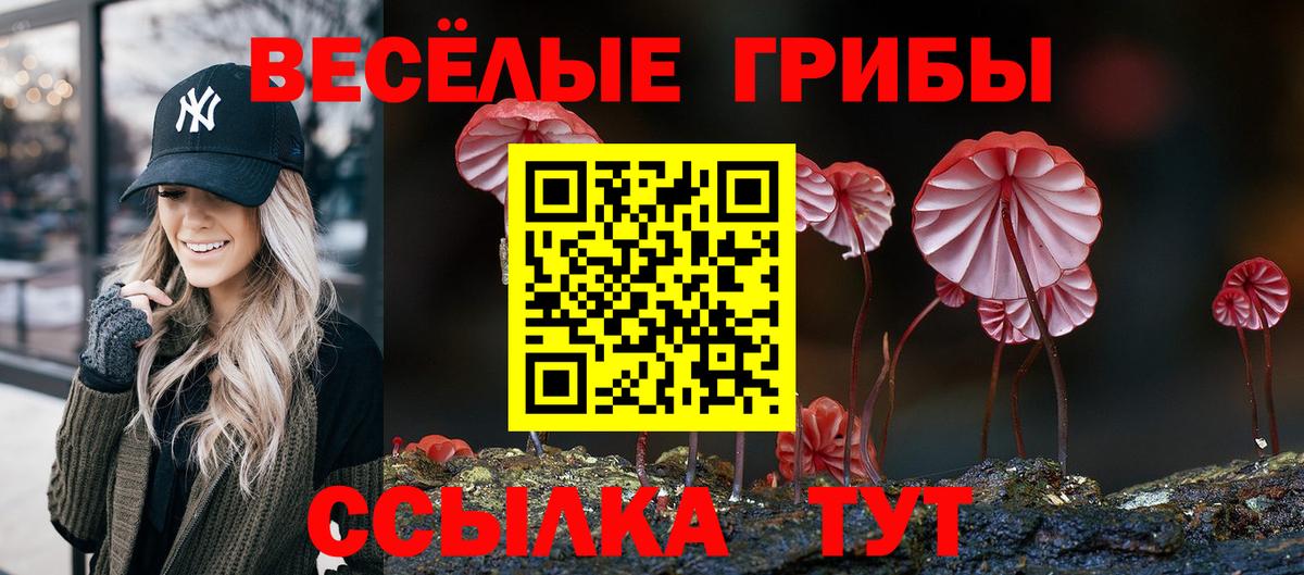 ГАШИШ  Бошки Шишки  Купить наркотики цена  Волжск  КОКАИН  Вход с VPN  Меф кристаллы  LSD-25 
