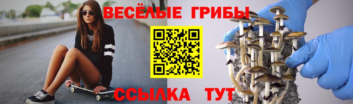 продажа наркотиков  Вход с VPN  Волжск  Галлюциногенные грибы мухоморы 